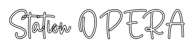 Omrissbilde